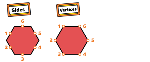 A hexagon showing 6 sides and 6 vertices