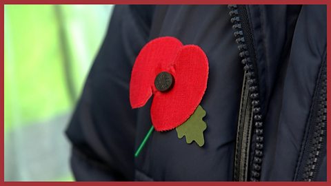 Image: someone wearing a poppy