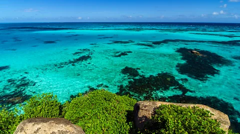 DC_Colombia/Getty Images The reef system varies widely in depth, giving rise to the “sea of seven colours” nickname (Credit: DC_Colombia/Getty Images)