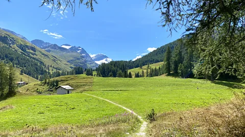 clu/Getty Images Hiking trails thred the Alpine mountains and valleys around Sils-Maria (Credit: clu/Getty Images)