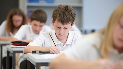 A pupil in a secondary school puts her hand up during a lesson to answer a question.