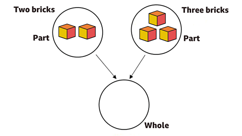 Part whole model.