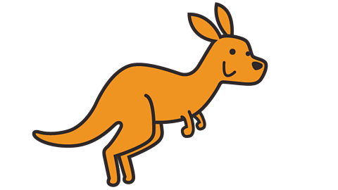 a kangaroo