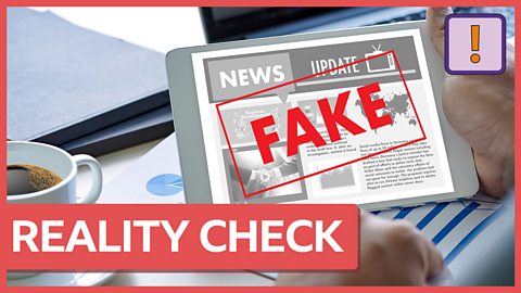 Reality Check: Finding the facts in a pandemic