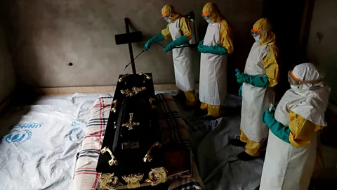 Reuters The fight against Ebola in Africa has been complicated by the fact the virus continues to circulate in wild animals (Credit: Reuters)