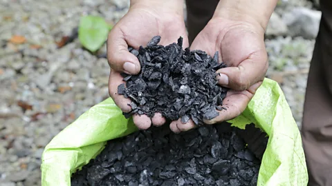 Elisa Parhad Biochar is used in the reforestation of the Andean cloud forest (Credit: Elisa Parhad)