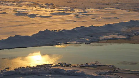 Arctic Ice Tundra Series