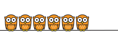 6 owls