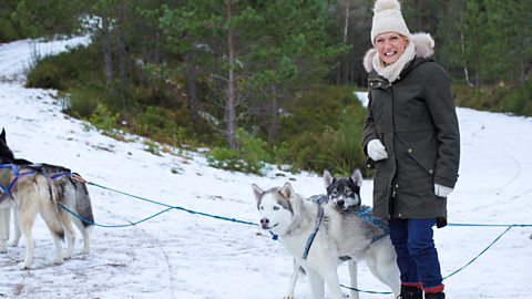 BBC Two - Mary Berry's Simple Comforts, Series 1, Winter Woodland - Recipes