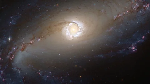 Nasa The singularity at the heart of a black hole produces heat so intense that extremely bright radiation is blasted out in every direction (Credit: Nasa)