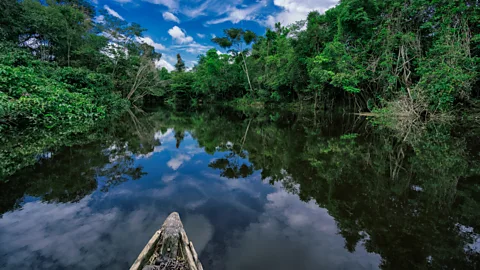 Getty Images The tribes who lived the rainforests of the Amazon were untouched by flu until Spanish colonisers arrived (Credit: Getty Images)