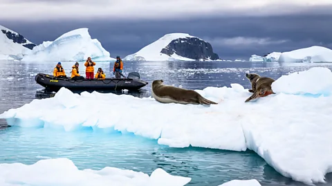 Bella Falk Will there be any tourism in Antarctica during the upcoming season?