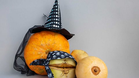 A picture of a pumpkin, turnip and butternut squash. The pumpkin and turnip both have halloween hats on. 