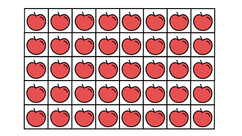 8 x 5 in apples