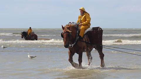 Angela Dansby Nele Bekaert, a 37-year-old mother of three is the world's first officially recognised female horse fisher (Credit: Angela Dansby)
