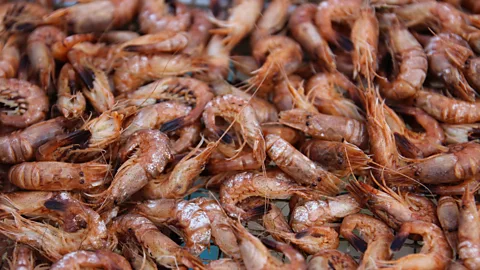 Europe's 500-year-old seafood tradition
