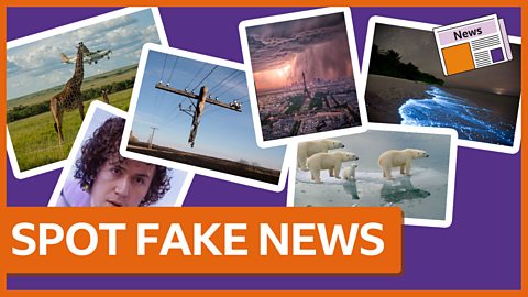 Five Tips on How to Spot Fake News Online