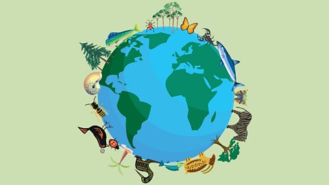 An illustration of the world with animals and fauna around the outside 