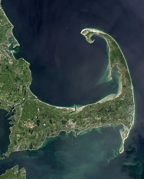 Nasa The distinctive curled bicep of Cape Cod, where dolphins are often stranded in shallow waters (Credit: Nasa)