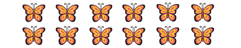 Pairs of butterflies.