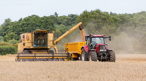 Harvesting wheat in the UK.