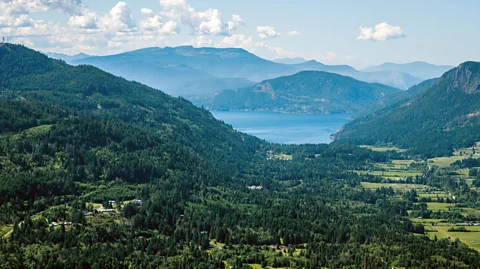 Bloomberg Creative/Getty Images By 1851, it's estimated that half the settler population of the Gulf Islands was Hawaiian (Credit: Bloomberg Creative/Getty Images)