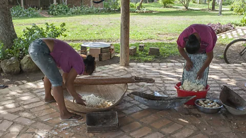 Tina Leme Scott To prepare black tucupi, manioc has to be peeled and grated and the juice squeezed out (Credit: Tina Leme Scott)