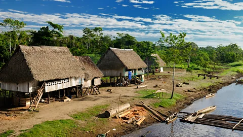 rchphoto/Getty Images Black tucupi, a thick, umami-rich sauce, has been made by indigenous communities across the Amazon for thousands of years (Credit: rchphoto/Getty Images)
