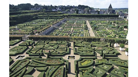 Getty Images The labyrinth at the Chateau de Villandry, Indre-et-Loire, France (Credit: Getty Images)