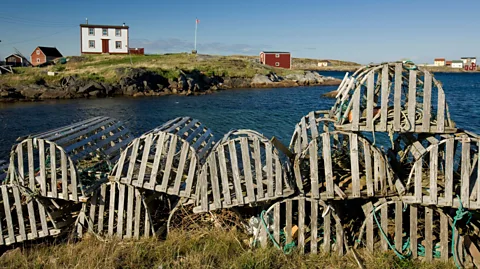 John Sylvester/Alamy Irish settlers arrived here in the early-to-mid 1700s to fish the cod-rich waters just offshore (Credit: John Sylvester/Alamy)