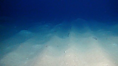 The unseen man-made 'tracks' on the deep ocean floor