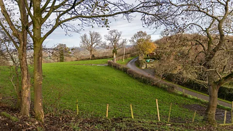 John Quintero/BBC Increasingly extreme weather has been noticeable in the Shropshire countryside and has been making the jobs of dairy farmers harder (John Quintero/BBC)