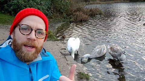 Spotting birds in winter with Rory Crawford