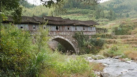 Chris Coggins Each feng shui forest, like this one at Sanjiaoqiu village, is comprised of mountains, forest, a river and farmland (Credit: Chris Coggins)