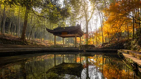 Xia Yang/ Getty Images Feng shui forests were considered forbidden under Communist rule, and today many Chinese have never heard of the concept (Credit: Xia Yang/ Getty Images)