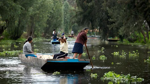 Chico Sanchez/Alamy Lake Texcoco was largely drained by the Spanish to build Mexico City (Credit: Chico Sanchez/Alamy)