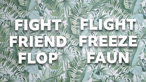 BBC - The Social - The truth about the fight or flight response