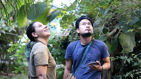 Thomas Bird Priscillia Miard and zoology student Fizri Zubir observe colugos at The Andaman Resort (Credit: Thomas Bird)