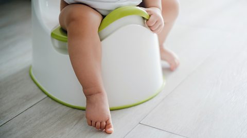 A child's legs as they sit on a training potty.