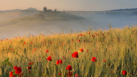 Ekkachai Pholrojpanya/Getty Images Mayes recently spent nearly two years zigzagging across Italy and especially loved its off-the-beaten-path destinations (Credit: Ekkachai Pholrojpanya/Getty Images)