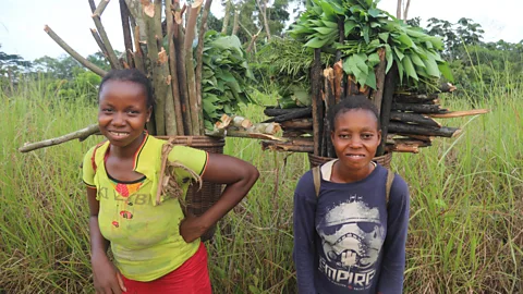 Peter Yeung The concessions requires communities to use the forest in diverse ways to make a living, to encourage economic resilience (Credit: Peter Yeung)