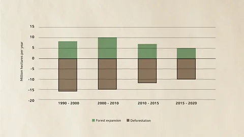 FAO/BBC World deforestation rates are slowing slowly overall, but in some of the world's most pristine forests it is still rapid (Credit: FAO/BBC)