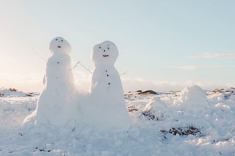 The history and science of snowmen - BBC Bitesize