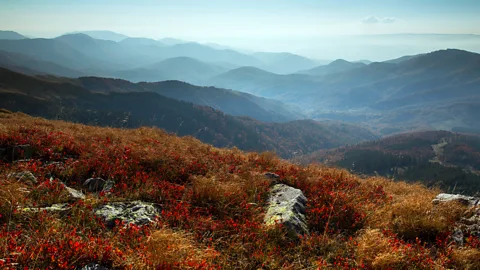 NPL/Alamy Evidence for one tryst between early modern humans and Neanderthals has been found in the Southern Carpathian mountains (Credit: NPL/Alamy)