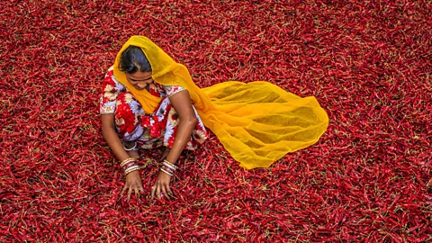 Bartosz Hadyniak/Getty Images Shiva advocates for creating local, biodiverse, chemical-free food systems (Credit: Bartosz Hadyniak/Getty Images)