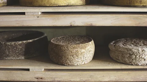 Suzan Gabrijan Slovenia produces a variety of local cheeses (Credit: Suzan Gabrijan)
