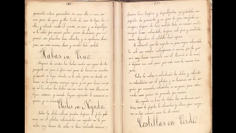 University of Texas at San Antonio A recipe for chiles en nogada has been digitised from a manuscript cookbook called Cocinera Mexicana (1882) (Credit: University of Texas at San Antonio)