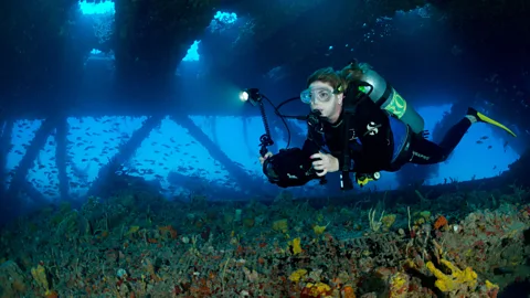 Alamy While marine life might benefit from the subsurface structures, there are concerns about the rigs-to-reefs programmes also ing extractive industries (Credit: Alamy)