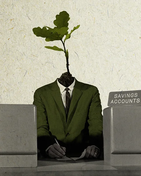 Javier Hirschfeld/Getty Images Growing numbers of financial institutions are making sustainability and tackling climate change an important part of what they do (Credit: Javier Hirschfeld/Getty Images)