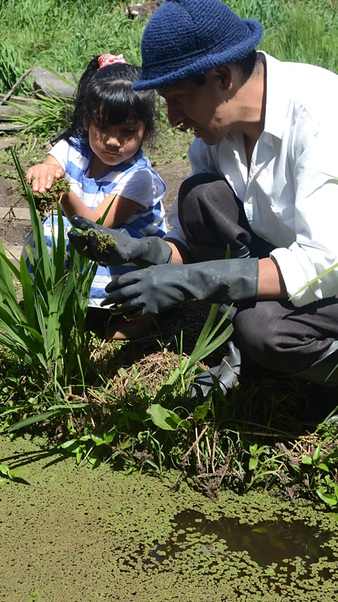 Dimitri Selibas For seven months during lockdown, Criollo sustained his family by relying on his indigenous ancestral garden (Credit: Dimitri Selibas)